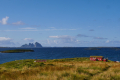 Selvær