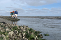 Vlieland