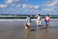 Vlieland