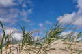 Vlieland