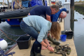 Vlieland