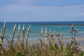 gen Wimereux