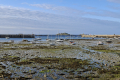 Roscoff