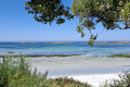 Küste bei Roscoff