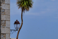 Roscoff