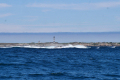 Île d'Ouessant