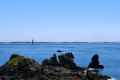 Île d'Ouessant