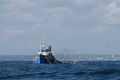 nach Concarneau