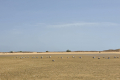 260804_Abs1_20260723_143939