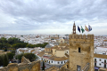 261004_Abs4_20260928_105849