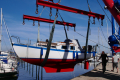Flying-Fish-XS_004