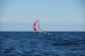 Flying Fish XS_005